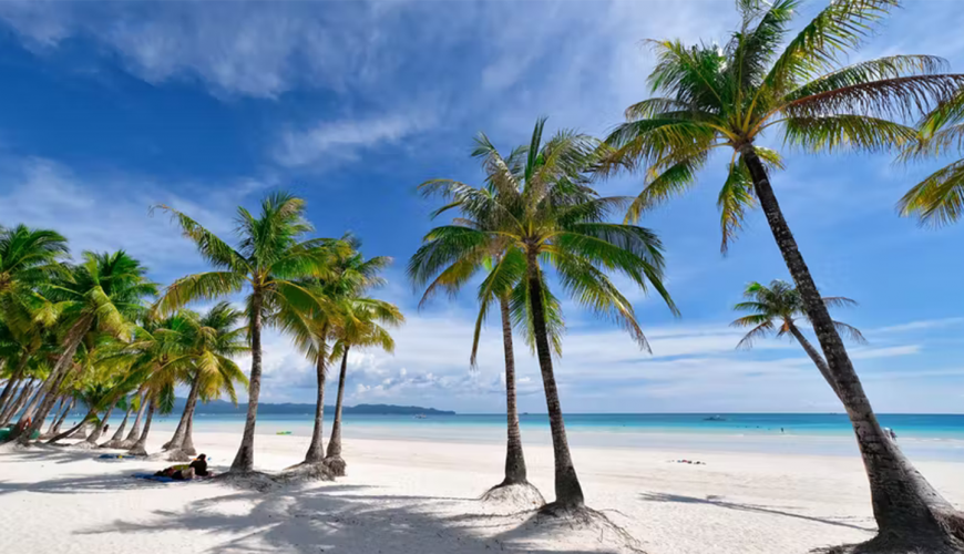 Bamboo Travel and Tours